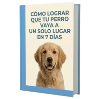 Guía de 7 días