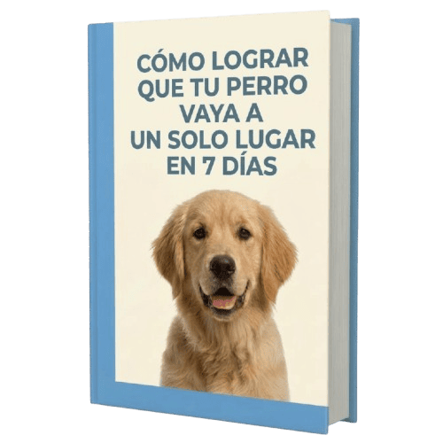 Cómo Lograr que tu Perro Haga en un Lugar Fijo en 7 Días